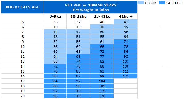 how do you calculate cat years to human years